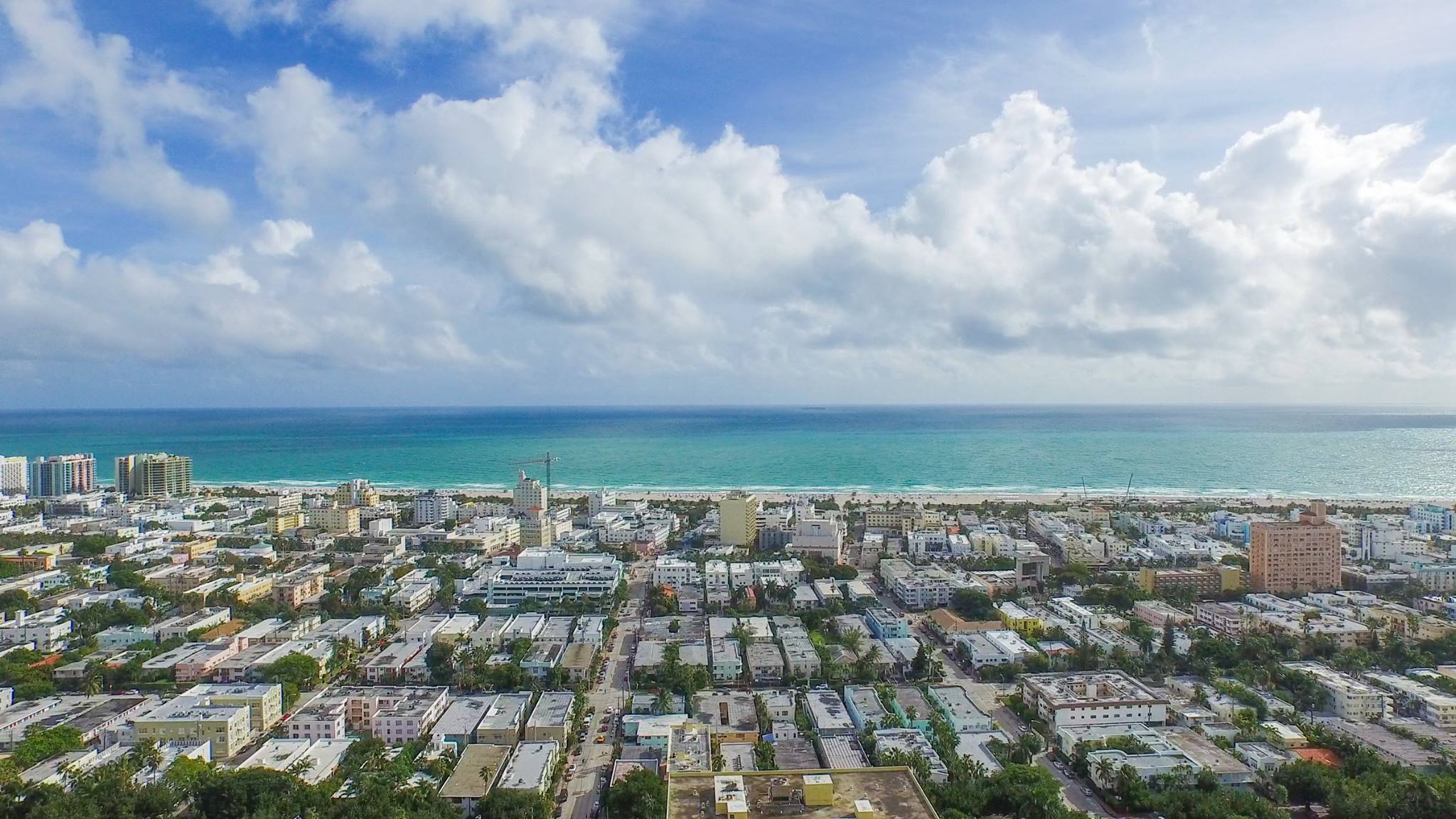 A City Transformed: Miami Beach and the 2025 Art Week